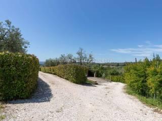 Villa unifamiliare Strada Provinciale Scansanese, Scansano — foto 54 di 55