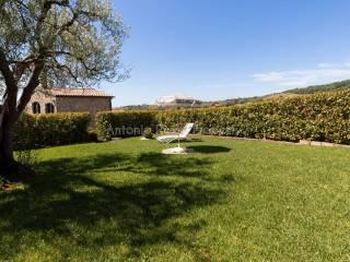 Villa unifamiliare Strada Provinciale Scansanese, Scansano — foto 38 di 55