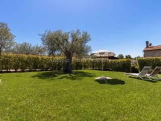 Villa unifamiliare Strada Provinciale Scansanese, Scansano — foto 12 di 55