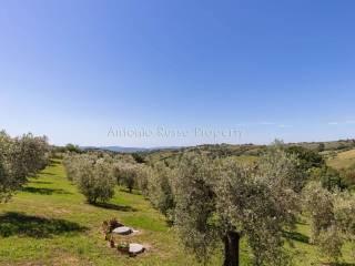 Villa unifamiliare Strada Provinciale Scansanese, Scansano — foto 45 di 55