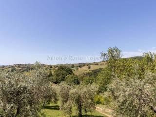 Villa unifamiliare Strada Provinciale Scansanese, Scansano — foto 35 di 55