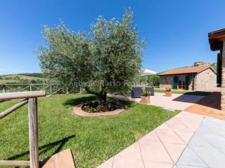 Villa unifamiliare Strada Provinciale Scansanese, Scansano — foto 13 di 55