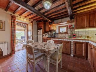 Villa unifamiliare Strada Provinciale Scansanese, Scansano — foto 19 di 55