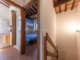 Villa unifamiliare Strada Provinciale Scansanese, Scansano — foto 21 di 55