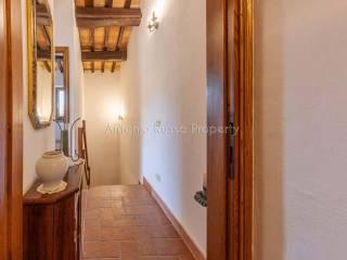 Villa unifamiliare Strada Provinciale Scansanese, Scansano — foto 33 di 55