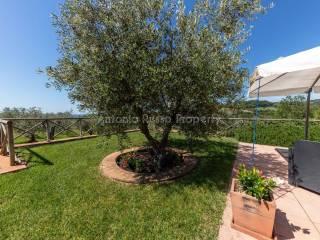 Villa unifamiliare Strada Provinciale Scansanese, Scansano — foto 18 di 55