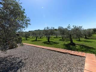 Villa unifamiliare Strada Provinciale Scansanese, Scansano — foto 27 di 55