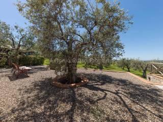 Villa unifamiliare Strada Provinciale Scansanese, Scansano — foto 44 di 55