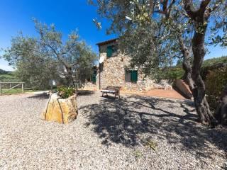 Villa unifamiliare Strada Provinciale Scansanese, Scansano — foto 48 di 55