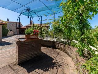 Villa unifamiliare Strada Provinciale Scansanese, Scansano — foto 43 di 55
