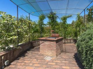 Villa unifamiliare Strada Provinciale Scansanese, Scansano — foto 6 di 55