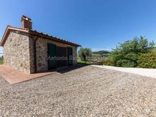 Villa unifamiliare Strada Provinciale Scansanese, Scansano