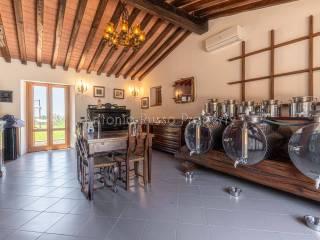 Villa unifamiliare Strada Provinciale Scansanese, Scansano — foto 34 di 55