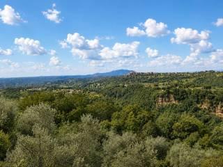 Villa unifamiliare via finocchieto 48, Roccantica — foto 4 di 24
