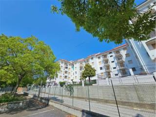 Bilocale via martiri della libertà, 37, Centro, San Bartolomeo al Mare — foto 12 di 18