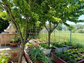 Villa a schiera 4 locali, ottimo stato, Polverigi — foto 5 di 20