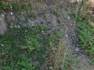 Terratetto unifamiliare Prime Ville 26, Belmonte in Sabina — foto 15 di 15