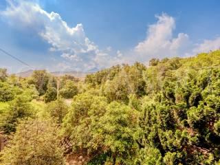Villa bifamiliare frazione Masere 61, Bioglio — foto 6 di 30