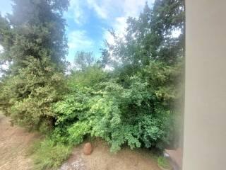 Casale via di San Miniato, Pian Di Scò, Castelfranco Piandisco — foto 15 di 48