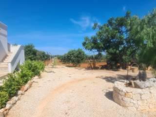 Villa unifamiliare Strada Statale di Egnazia, Carovigno — foto 12 di 24