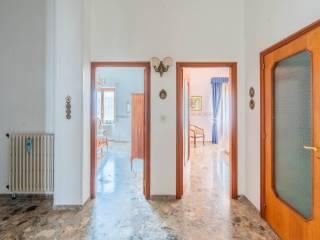 Terratetto unifamiliare via Salvatore Trinchese 13, Martano — foto 13 di 77