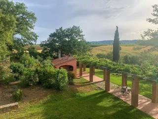 Casale, ottimo stato, 200 m², Magliano in Toscana — foto 8 di 17
