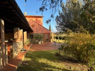 Casale, ottimo stato, 200 m², Magliano in Toscana — foto 16 di 17