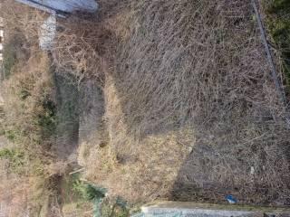 Terratetto unifamiliare via corso 48, San Giovanni, Sante Marie — foto 14 di 26
