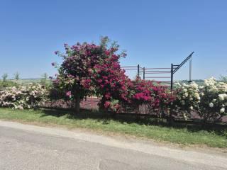 Terratetto unifamiliare via Castello 3, Centro, Viarigi — foto 39 di 43