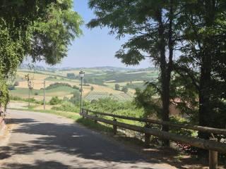 Terratetto unifamiliare via Castello 3, Centro, Viarigi — foto 25 di 43