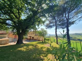 Casale via Fontevecchia, Fabriano — foto 49 di 50