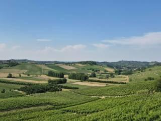Cascina via Bricco Papa 5, Montegrosso d'Asti — foto 17 di 20