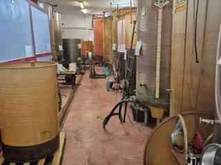 Cascina via Bricco Papa 5, Montegrosso d'Asti — foto 16 di 20