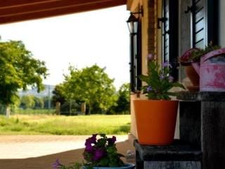 Casale via Settefinestre, Osimo — foto 20 di 30