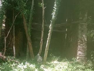 Rustico Borgata Piletta 1, San Damiano Macra