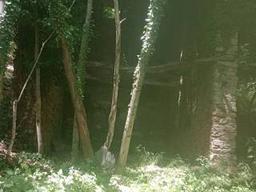 Rustico Borgata Piletta 1, San Damiano Macra