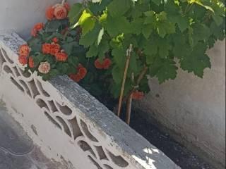 Villa unifamiliare Contrada Conche, Lizzano — foto 2 di 20