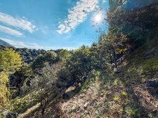 Trilocale via Valle Strona 34, Centro, Omegna — foto 24 di 31