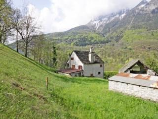Terratetto plurifamiliare frazione Beola 24, Baceno — foto 2 di 28
