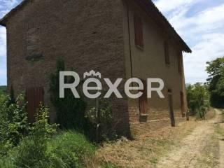 Casale via Borgo, Codevilla — foto 3 di 3