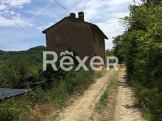 Casale via Borgo, Codevilla — foto 2 di 3