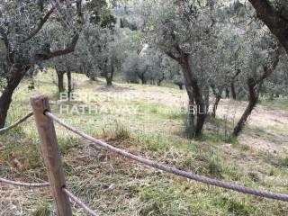 Casale Località Coste, Coste, Trevi — foto 12 di 54