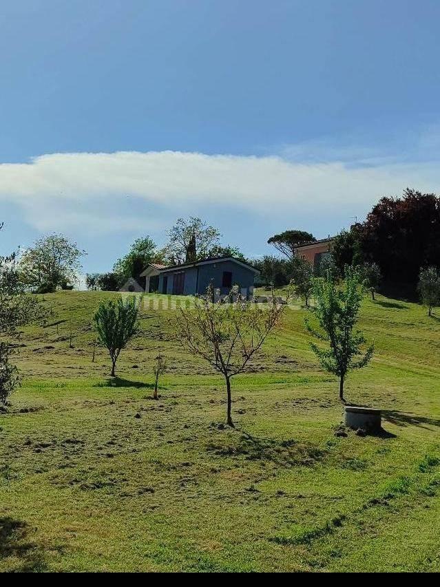 Loft via Sacca 8/a, Colli al Metauro
