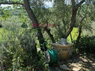Rustico Poggi del Sasso, Poggi Del Sasso, Cinigiano — foto 2 di 50
