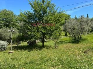 Rustico Poggi del Sasso, Poggi Del Sasso, Cinigiano — foto 47 di 50
