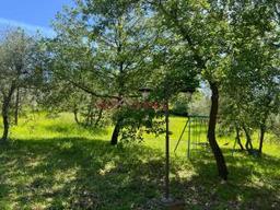 Rustico Poggi del Sasso, Poggi Del Sasso, Cinigiano