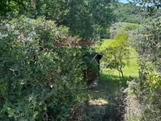Rustico Poggi del Sasso, Poggi Del Sasso, Cinigiano — foto 29 di 50