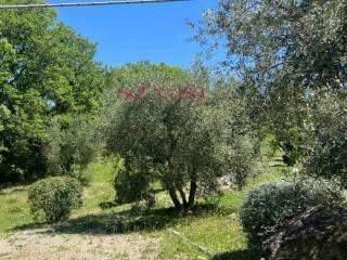 Rustico Poggi del Sasso, Poggi Del Sasso, Cinigiano — foto 46 di 50
