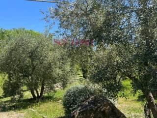 Rustico Poggi del Sasso, Poggi Del Sasso, Cinigiano — foto 30 di 50