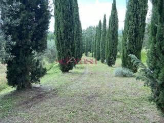 Rustico Poggi del Sasso, Poggi Del Sasso, Cinigiano — foto 24 di 50